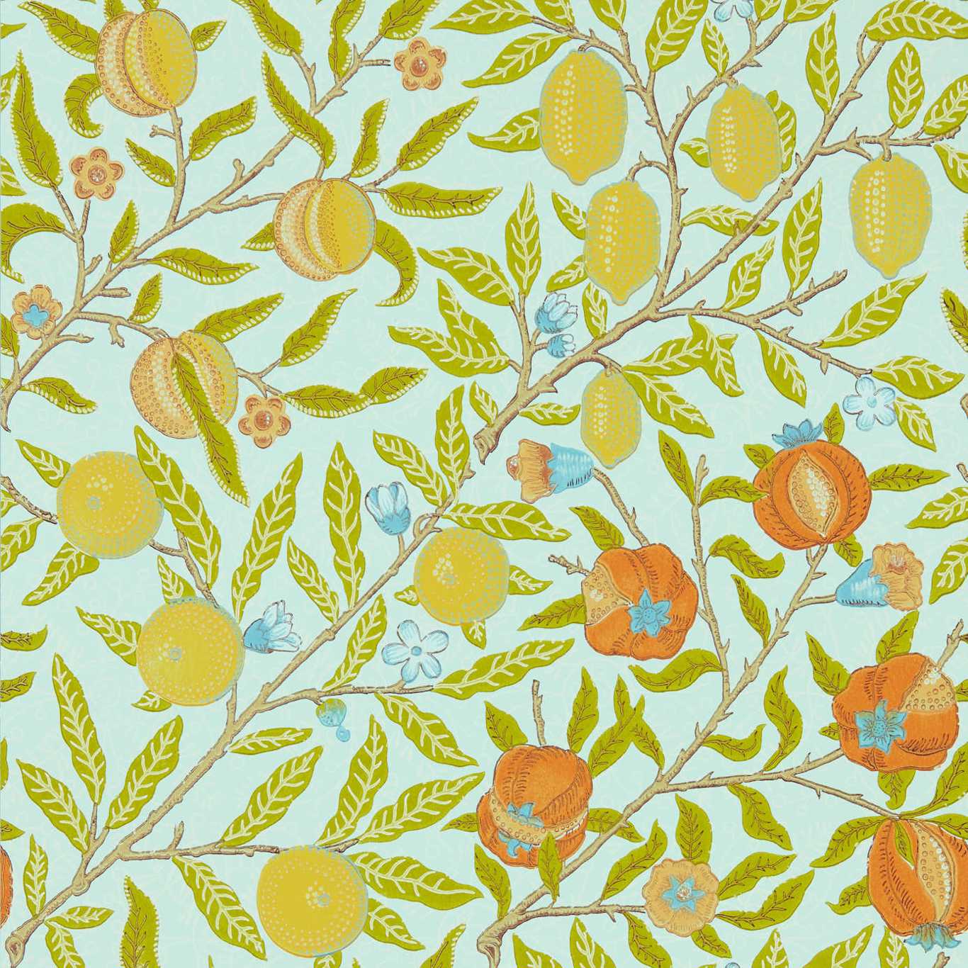 Fruit 217102