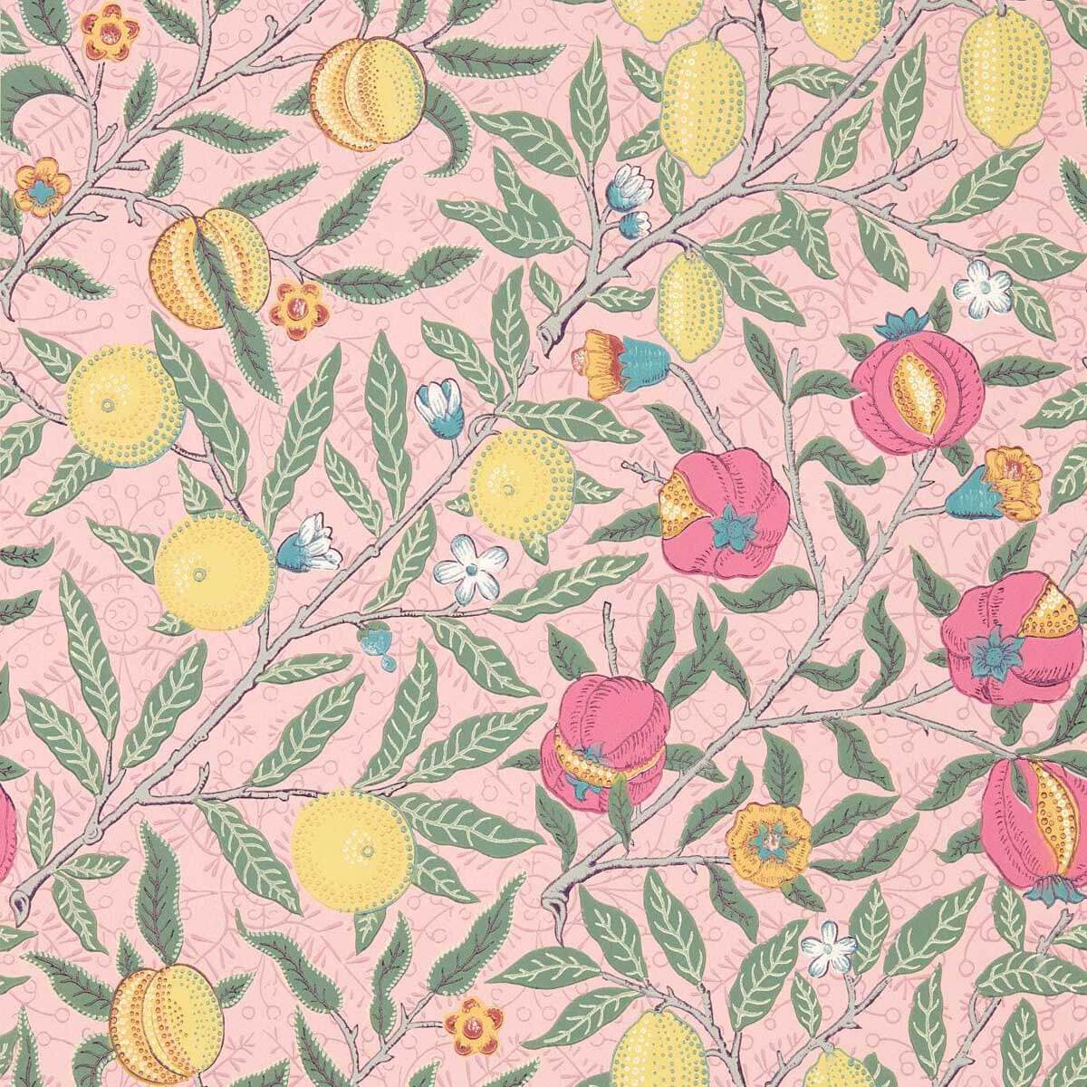 Fruit 510010