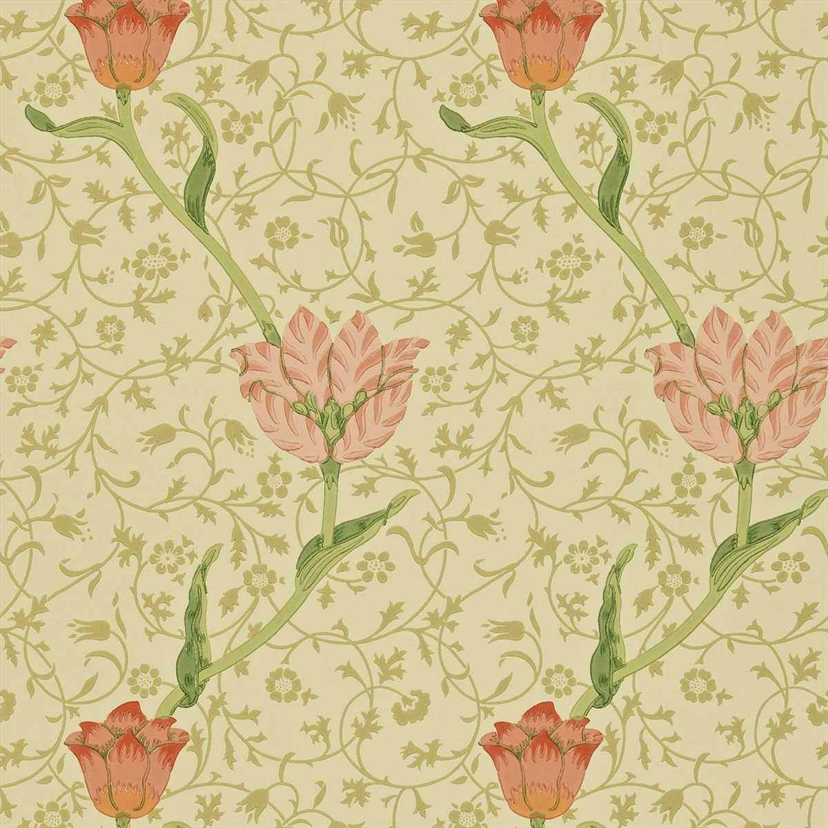 Garden Tulip 210428