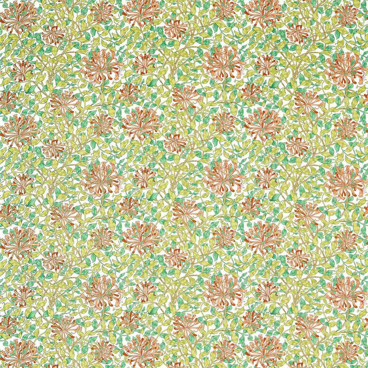 Honeysuckle 226850