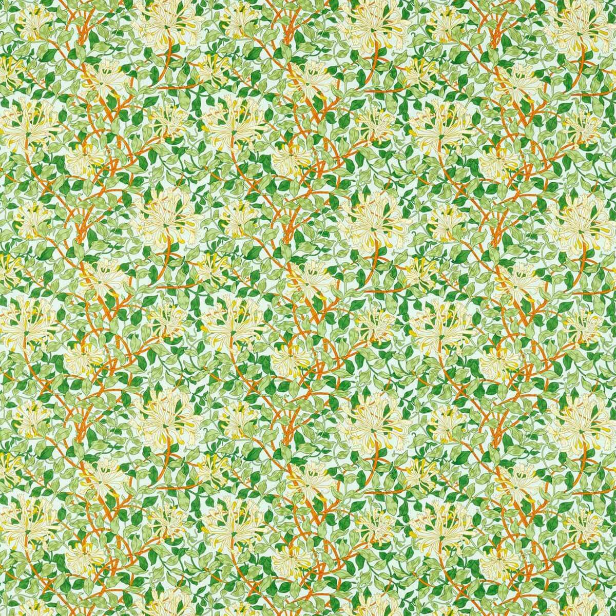 Honeysuckle 226985