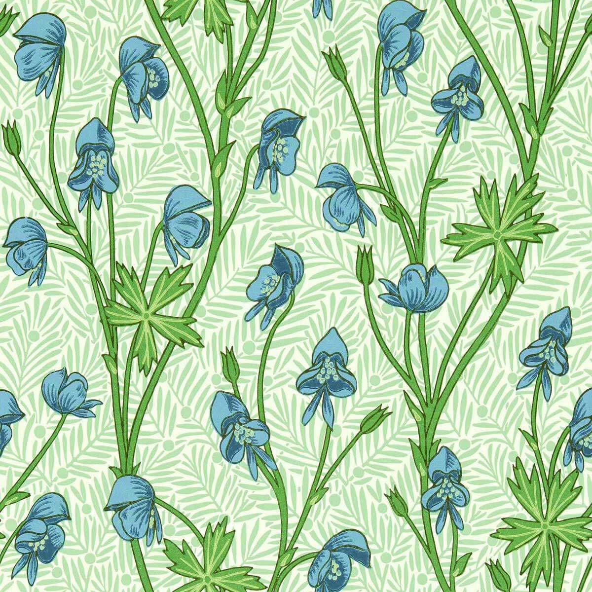 Monkshood 217343