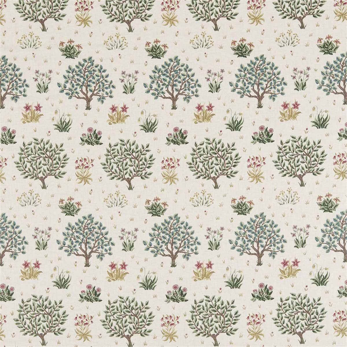 Orchard 226452