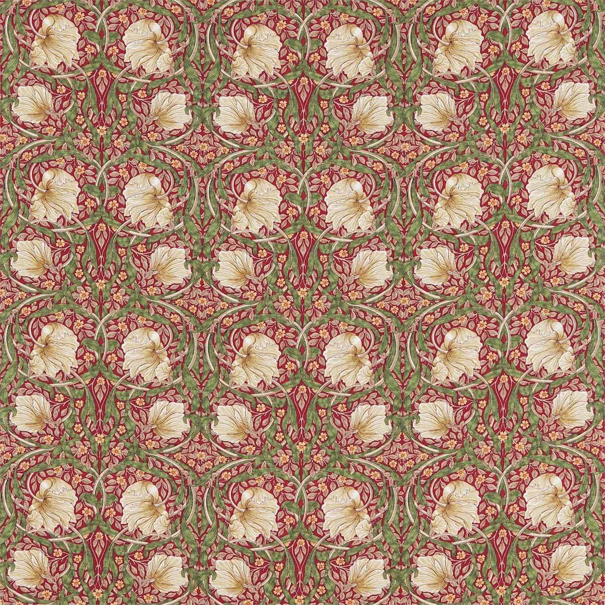 Pimpernel 224493