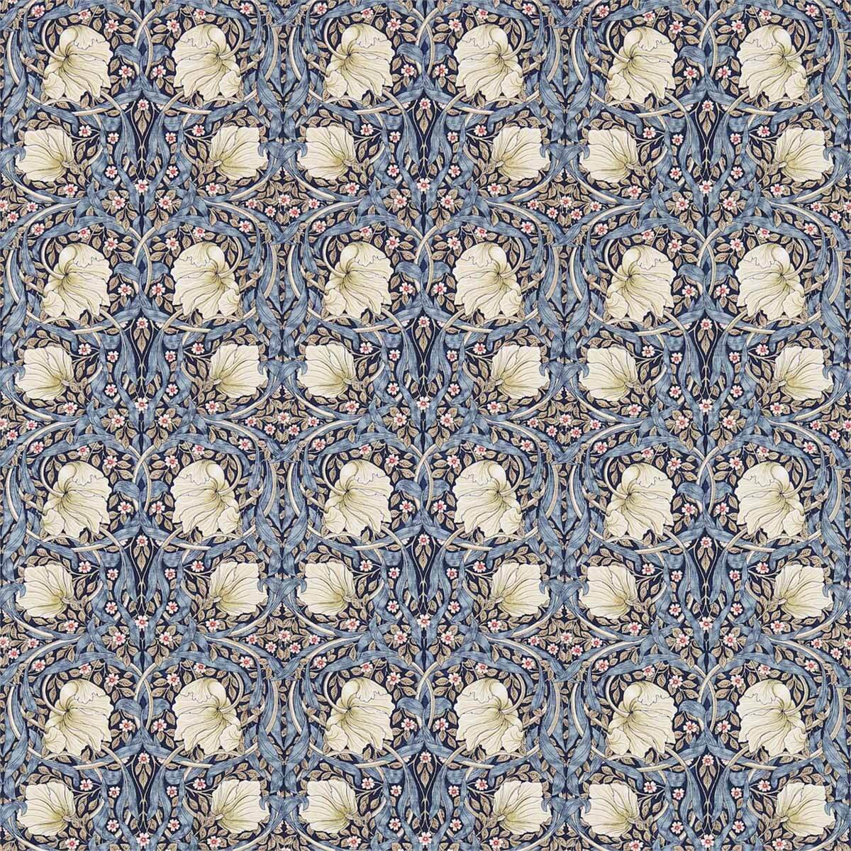 Pimpernel 224494