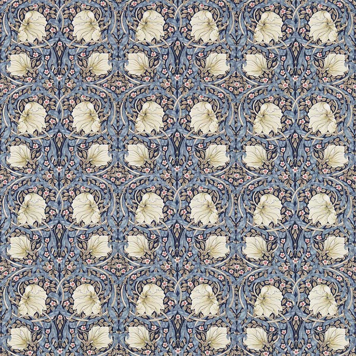 Pimpernel 226453
