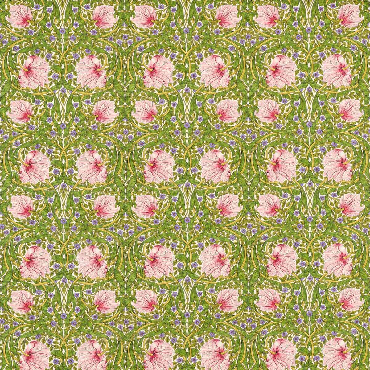 Pimpernel 227214