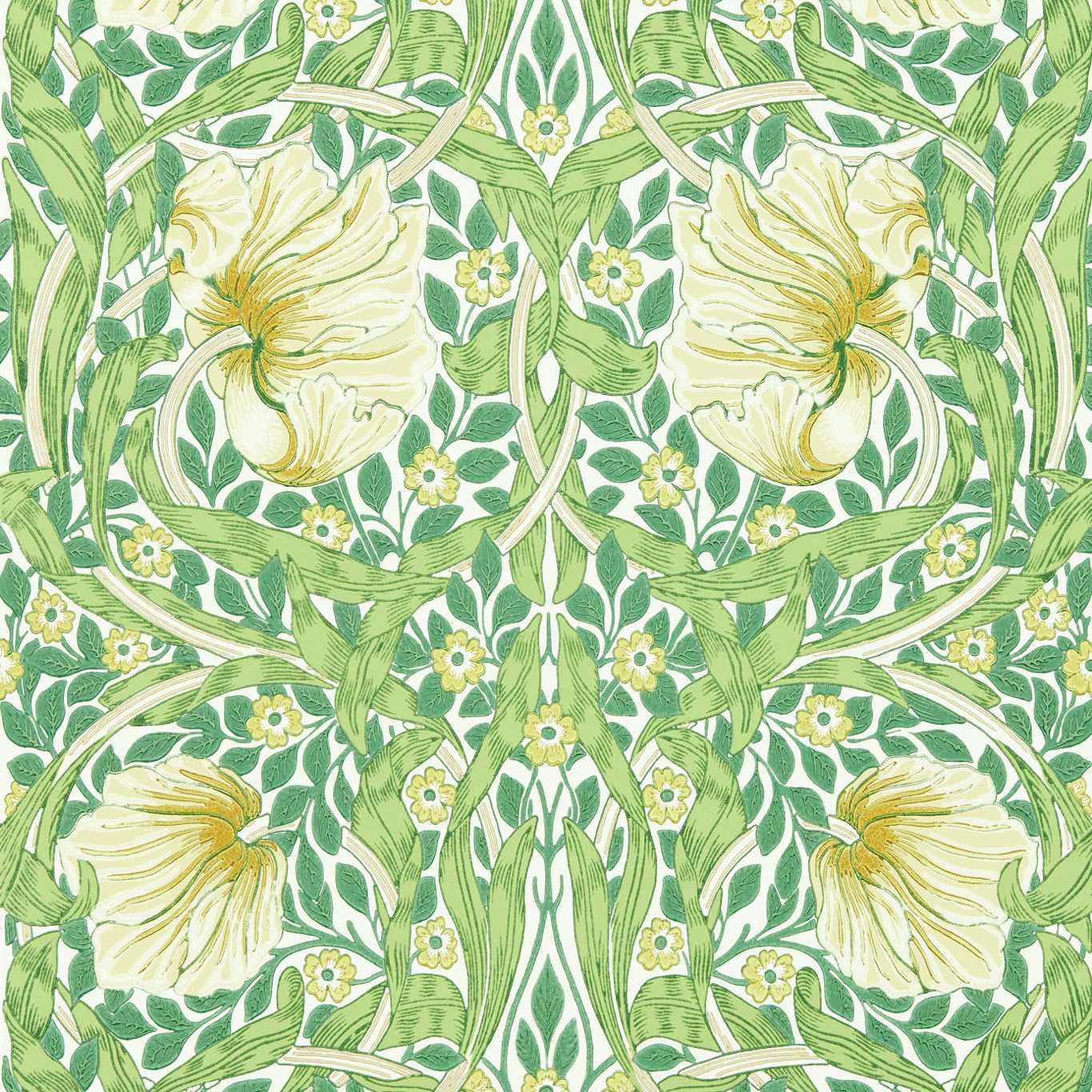 Pimpernel 217063