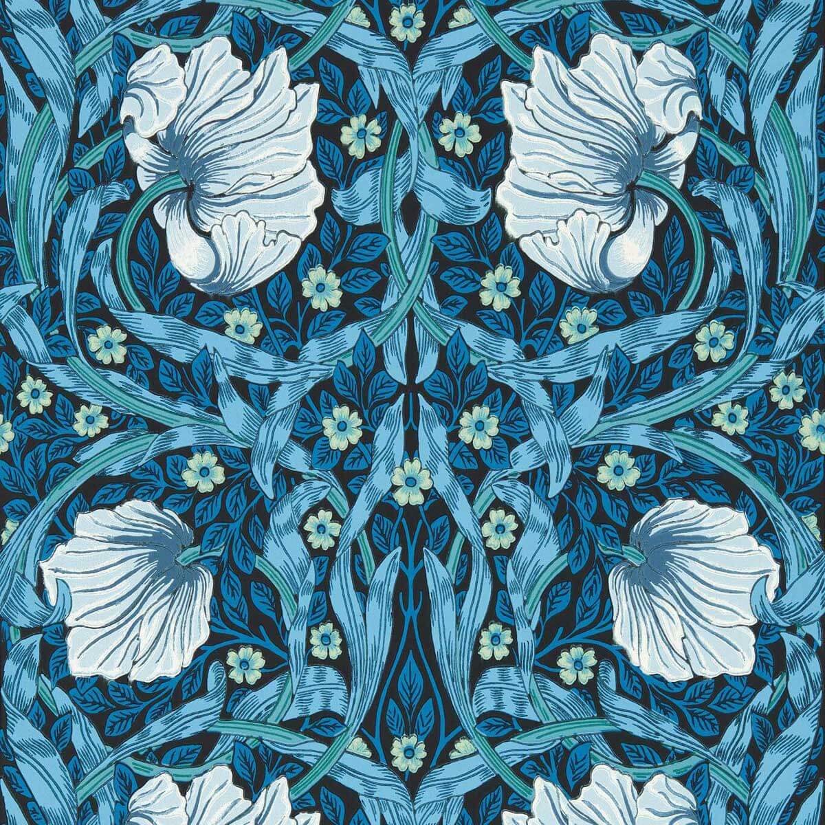 Pimpernel 217331