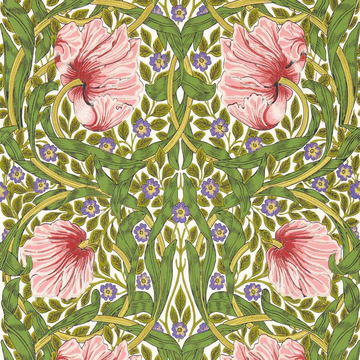 Pimpernel 217333