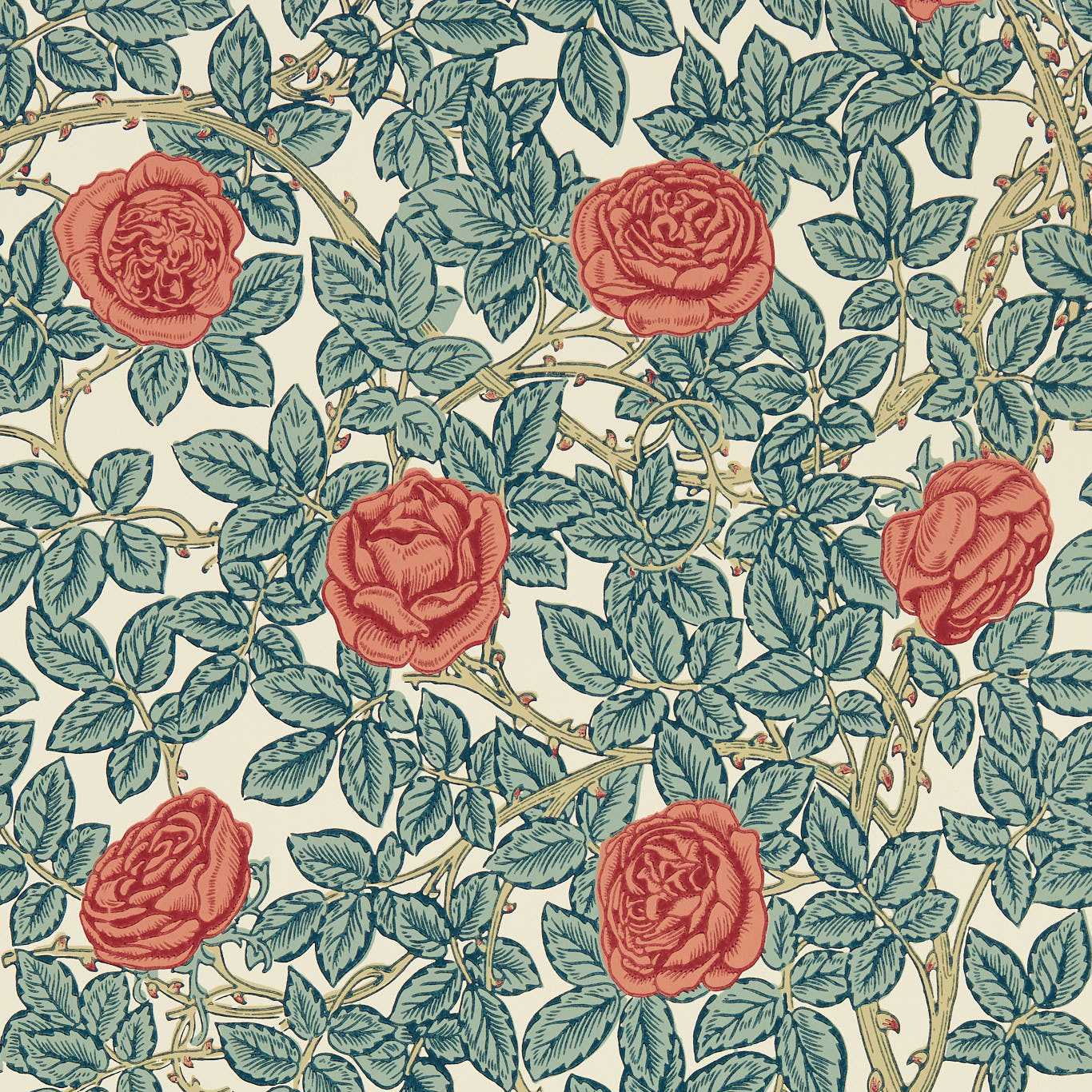Rambling Rose 217206