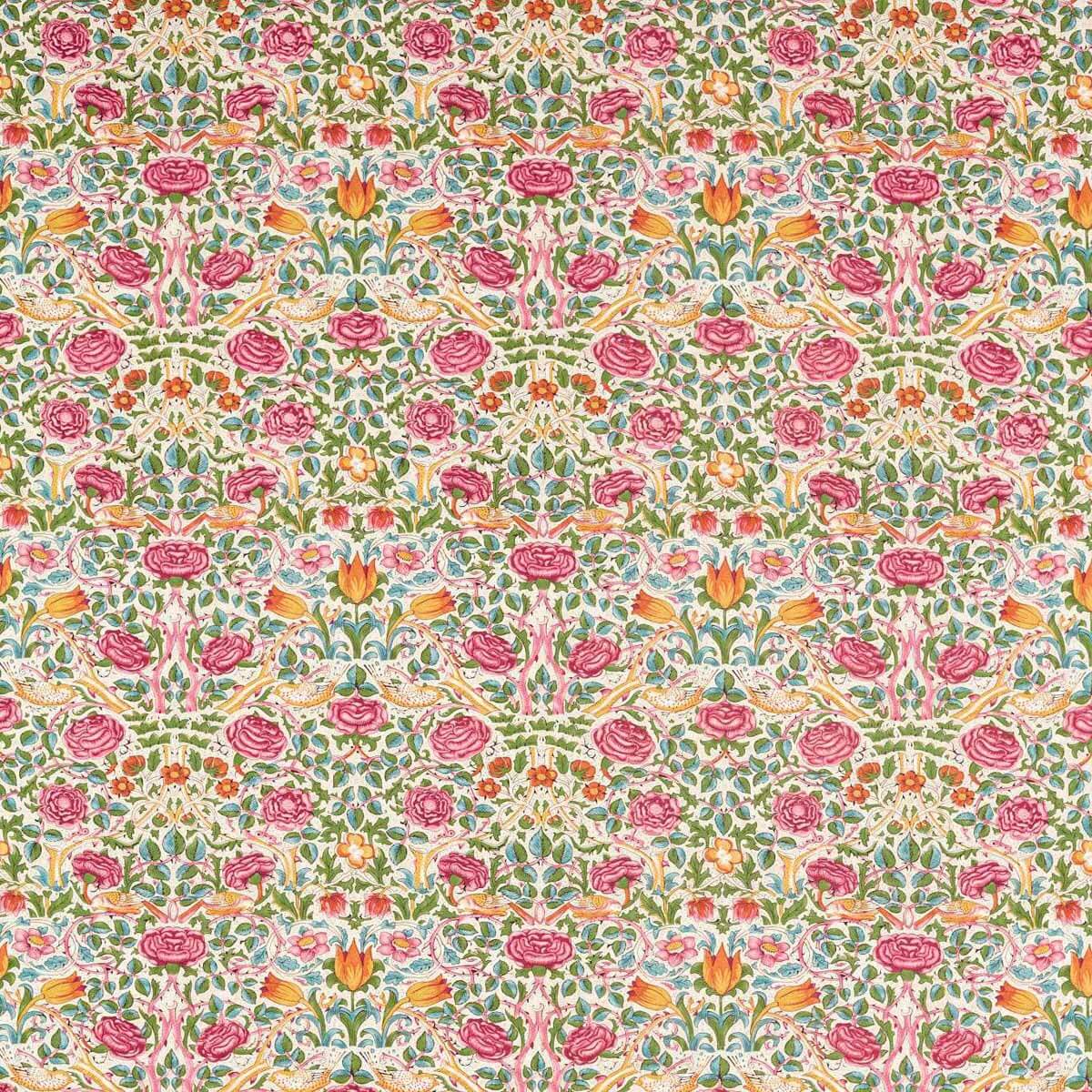 Rose 227023