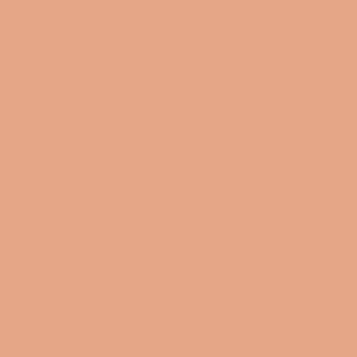 Spring Thicket Dawn Paint