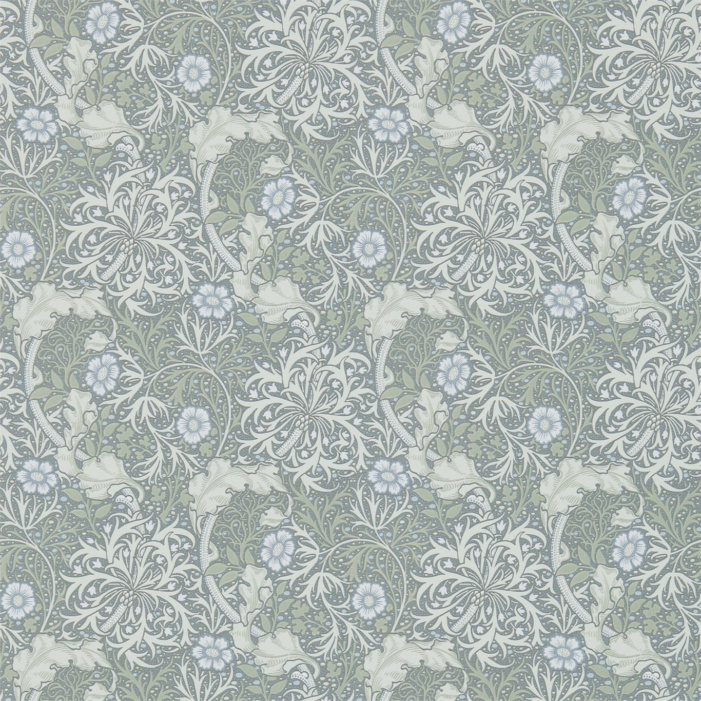 Morris Seaweed 216467