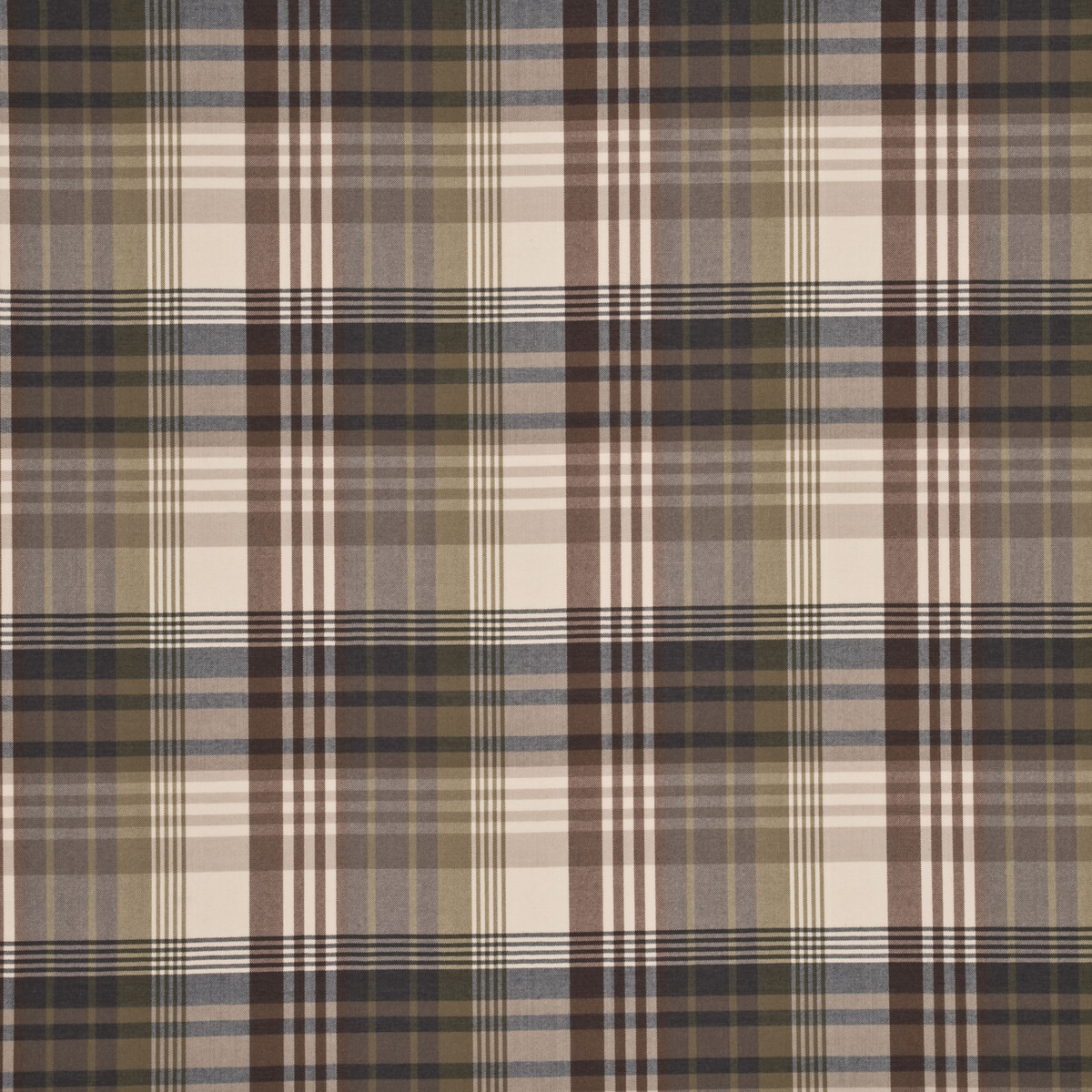 Ancient Tartan Charcoal Gold FD016-584A127