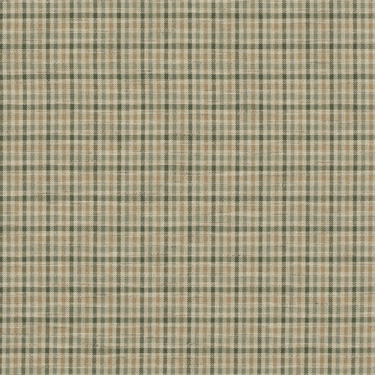 Babington Check FD810-S25