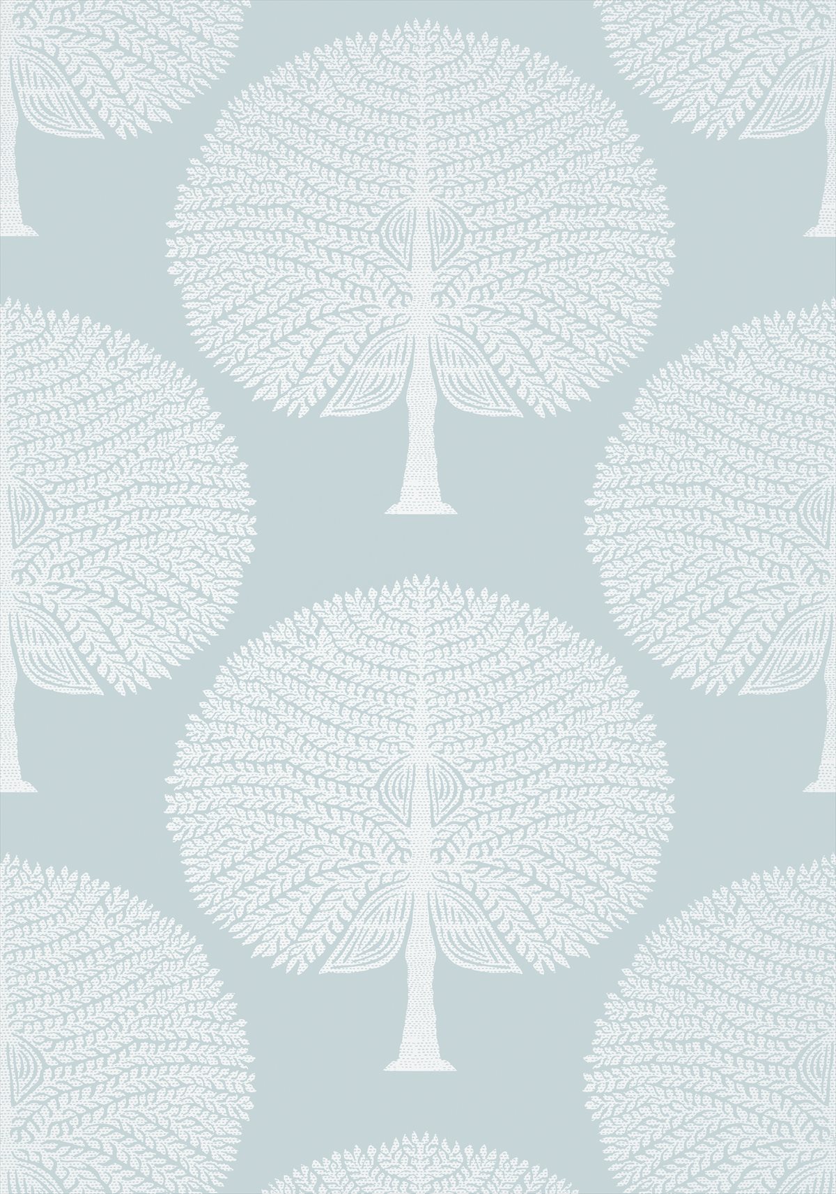 Mulberry Tree T10600