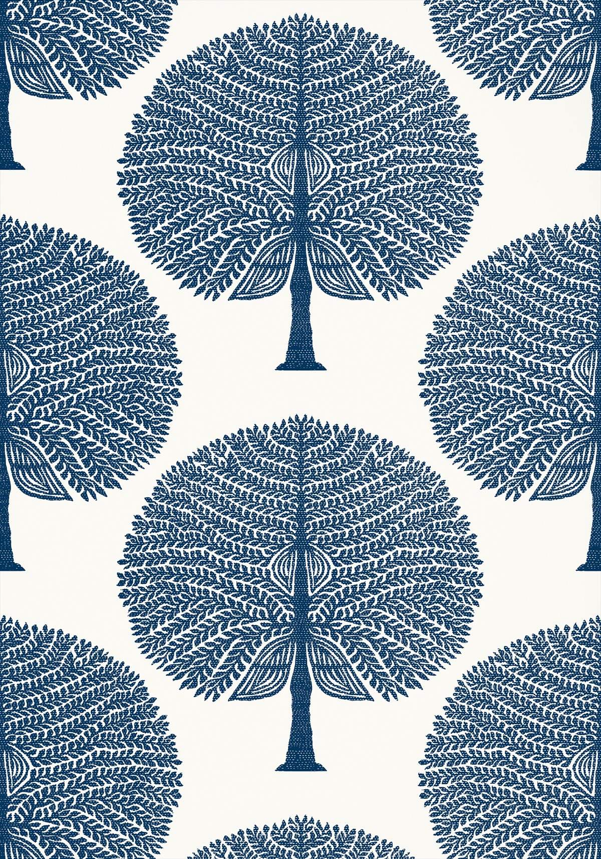 Mulberry Tree T10603