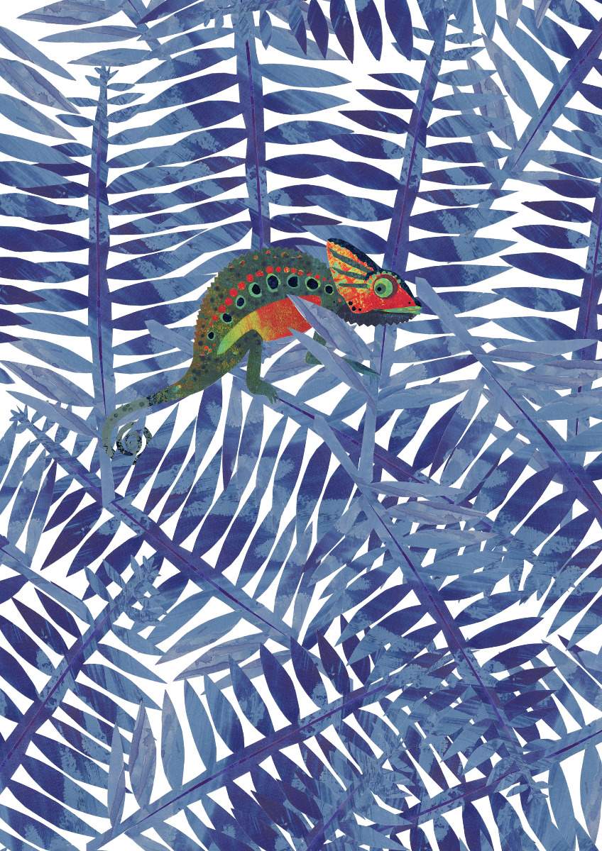 Amazonia - Manos 11359