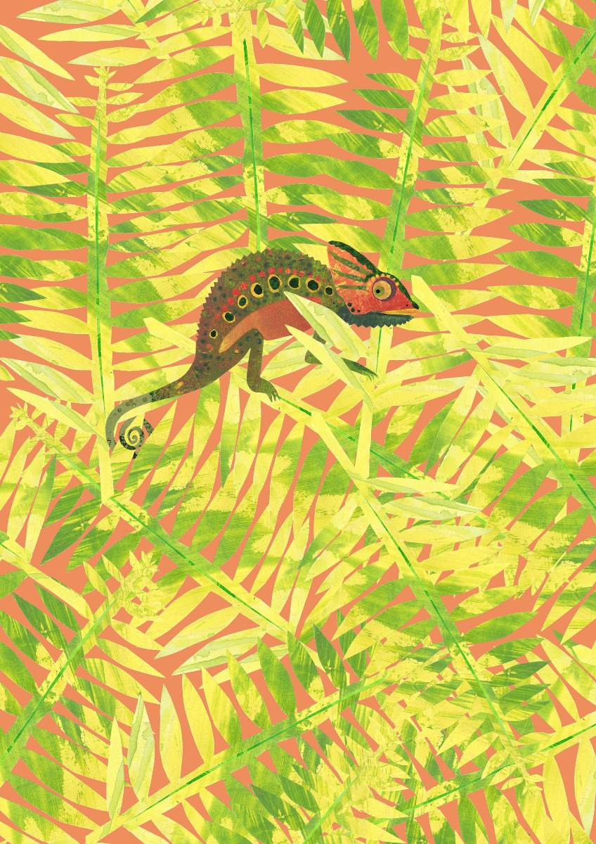 Amazonia - Manos 11360