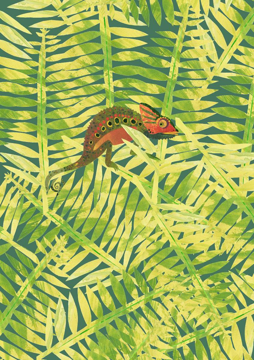 Amazonia - Manos 11361