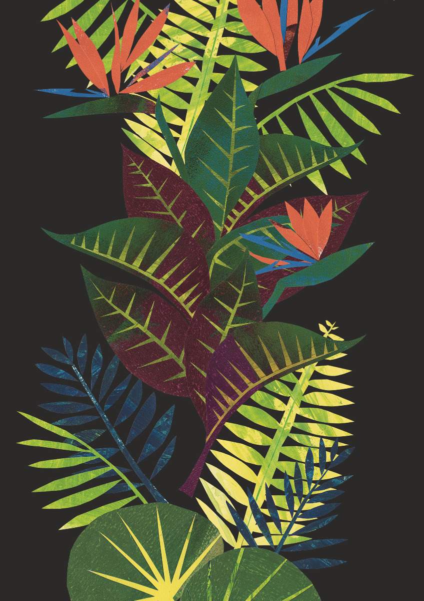 Amazonia - Novos 11354