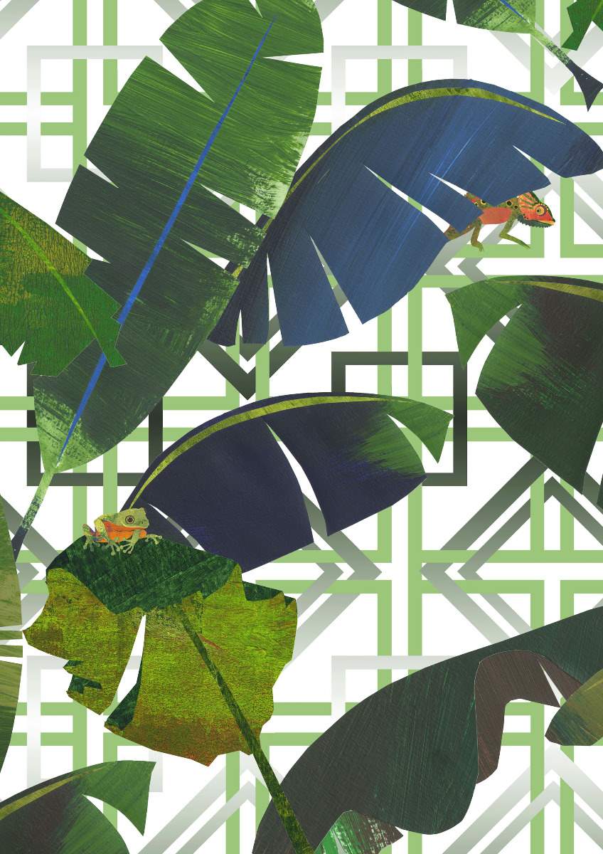 Amazonia - Porto 11365