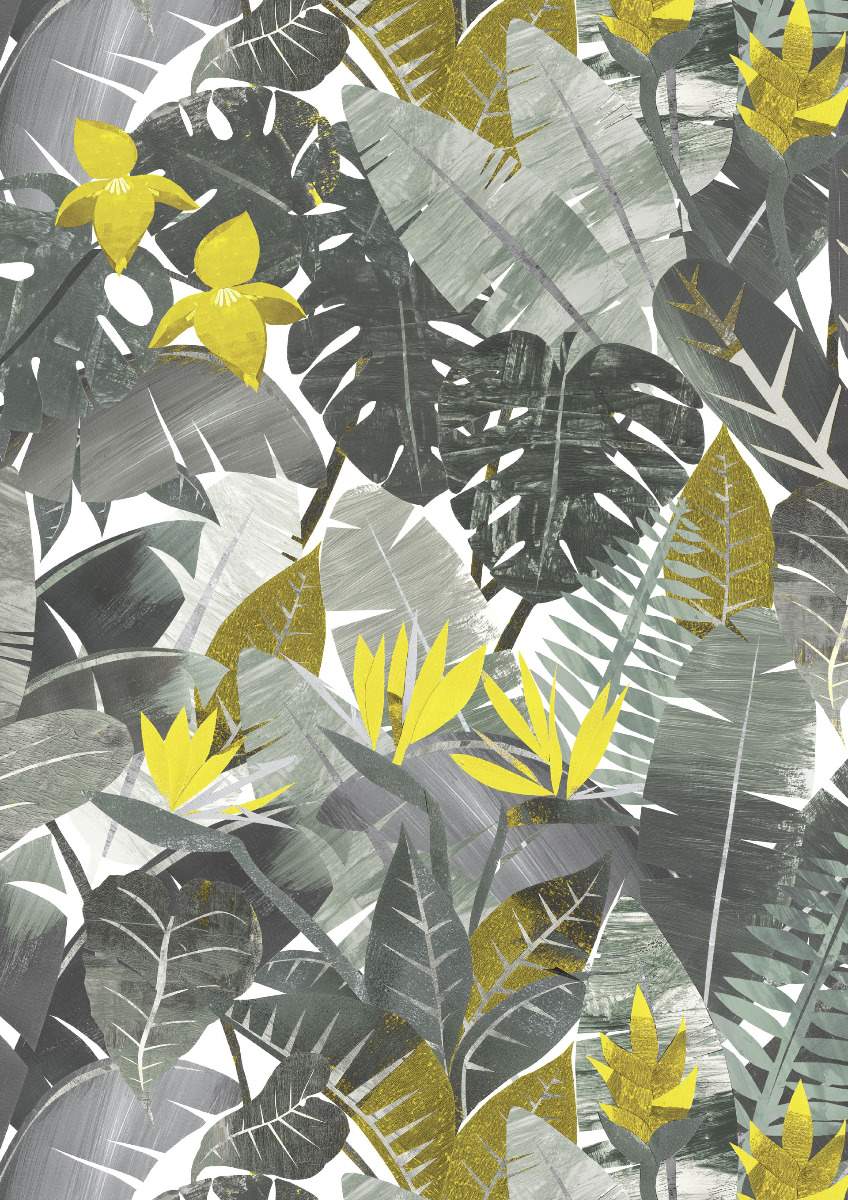 Amazonia - Rio 11351