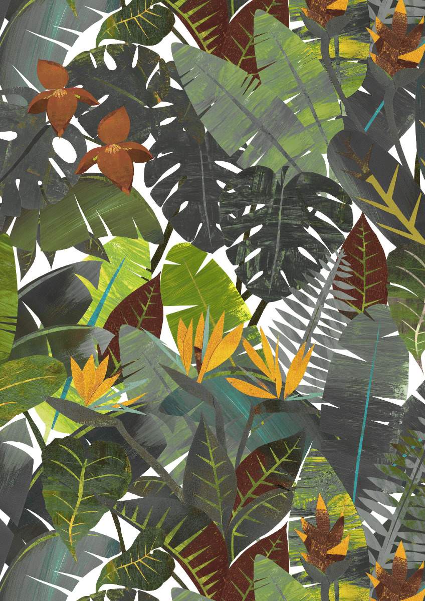 Amazonia - Rio 11352