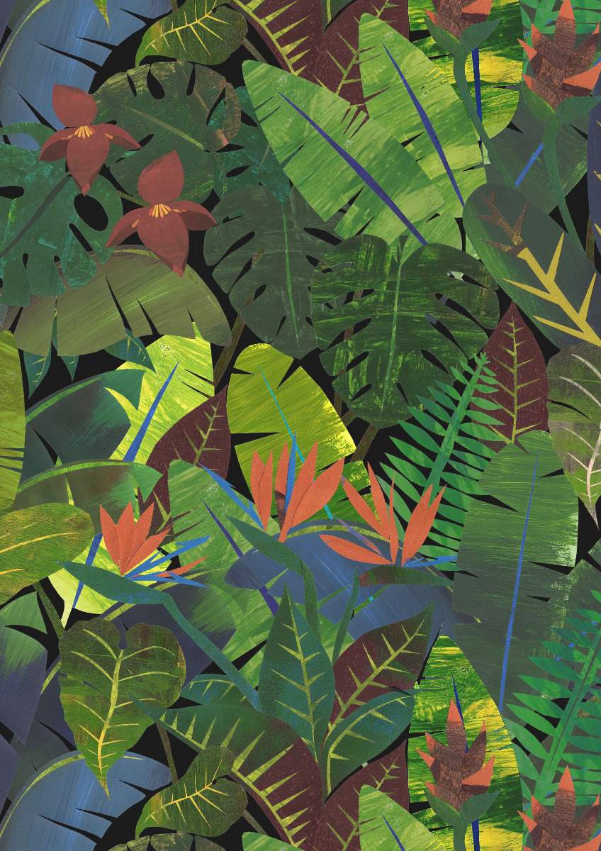 Amazonia - Rio 11353