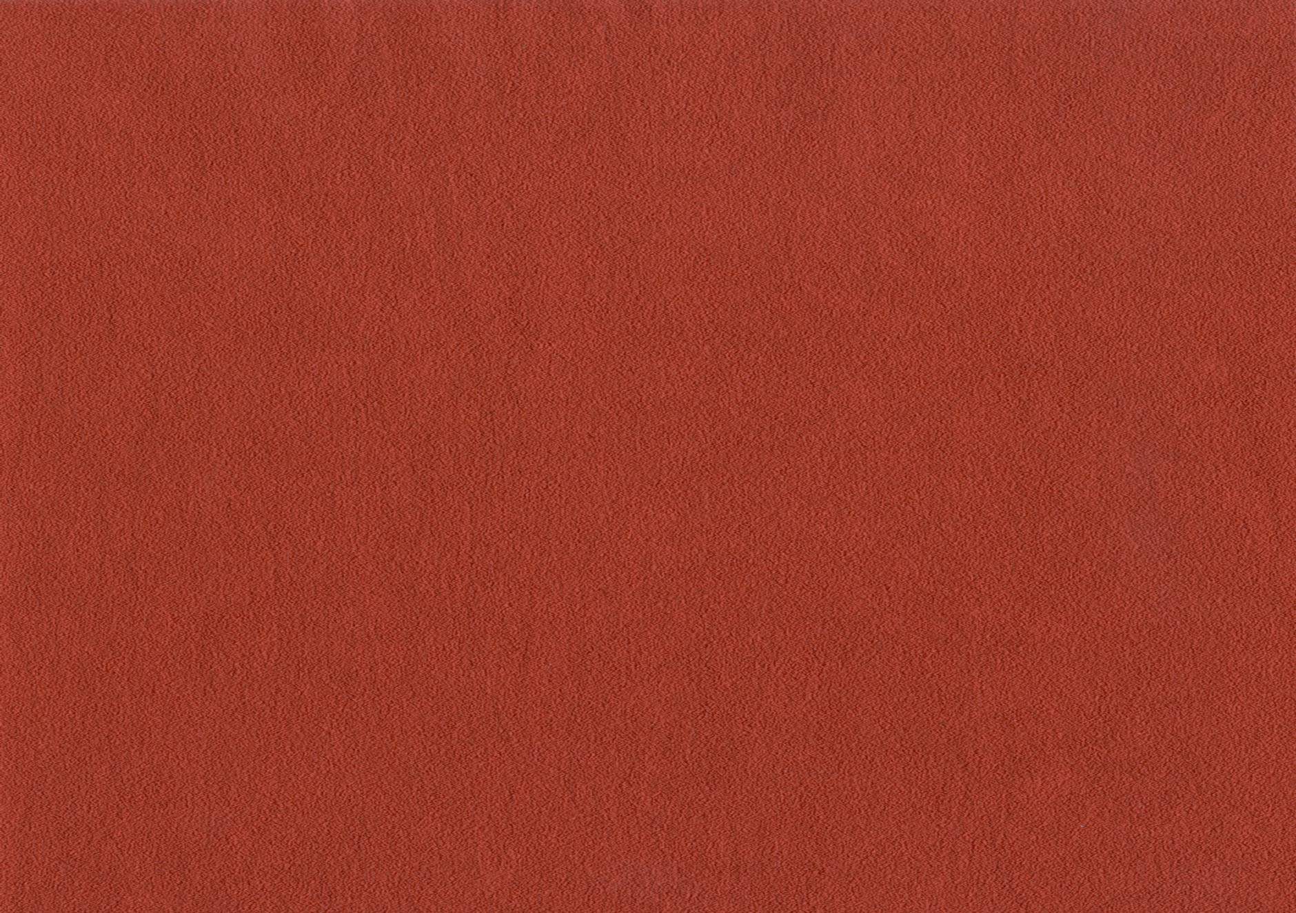 Brayer 10795