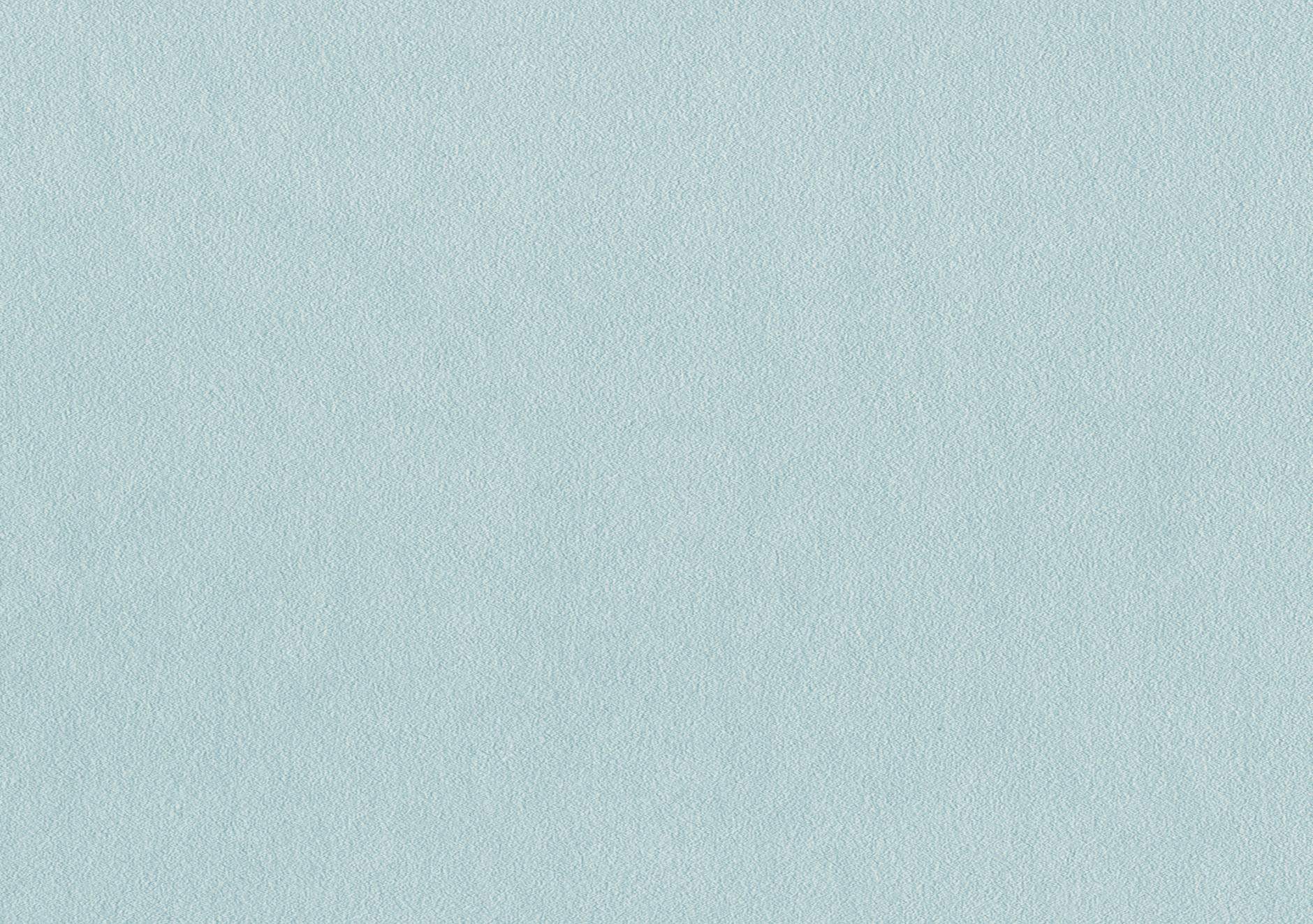Brayer 10799