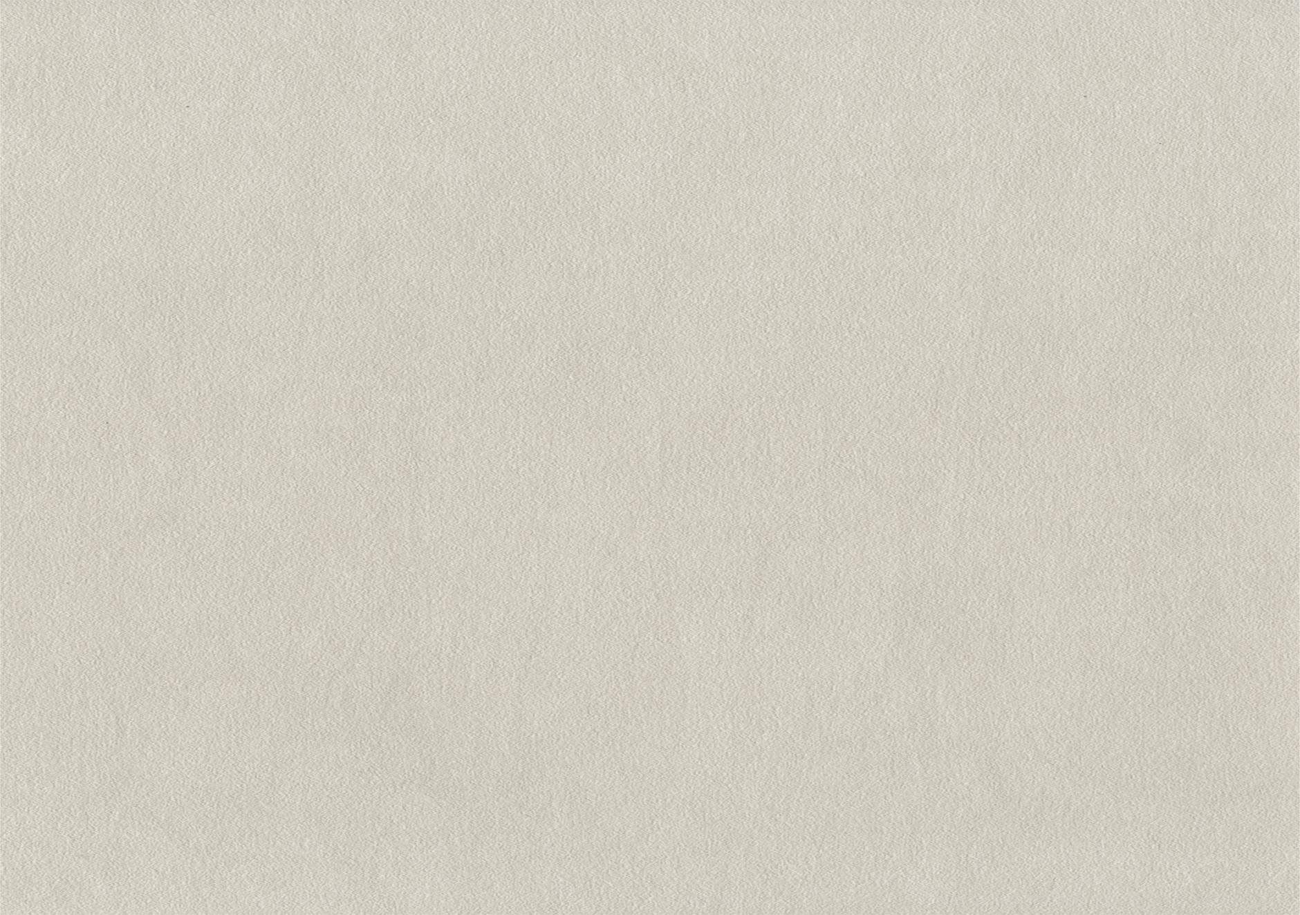 Brayer P8605