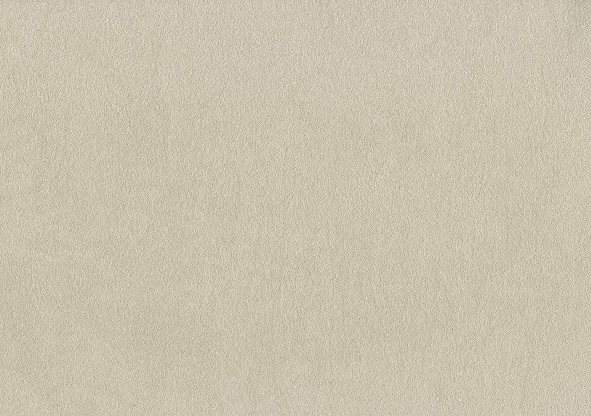 Brayer P8606