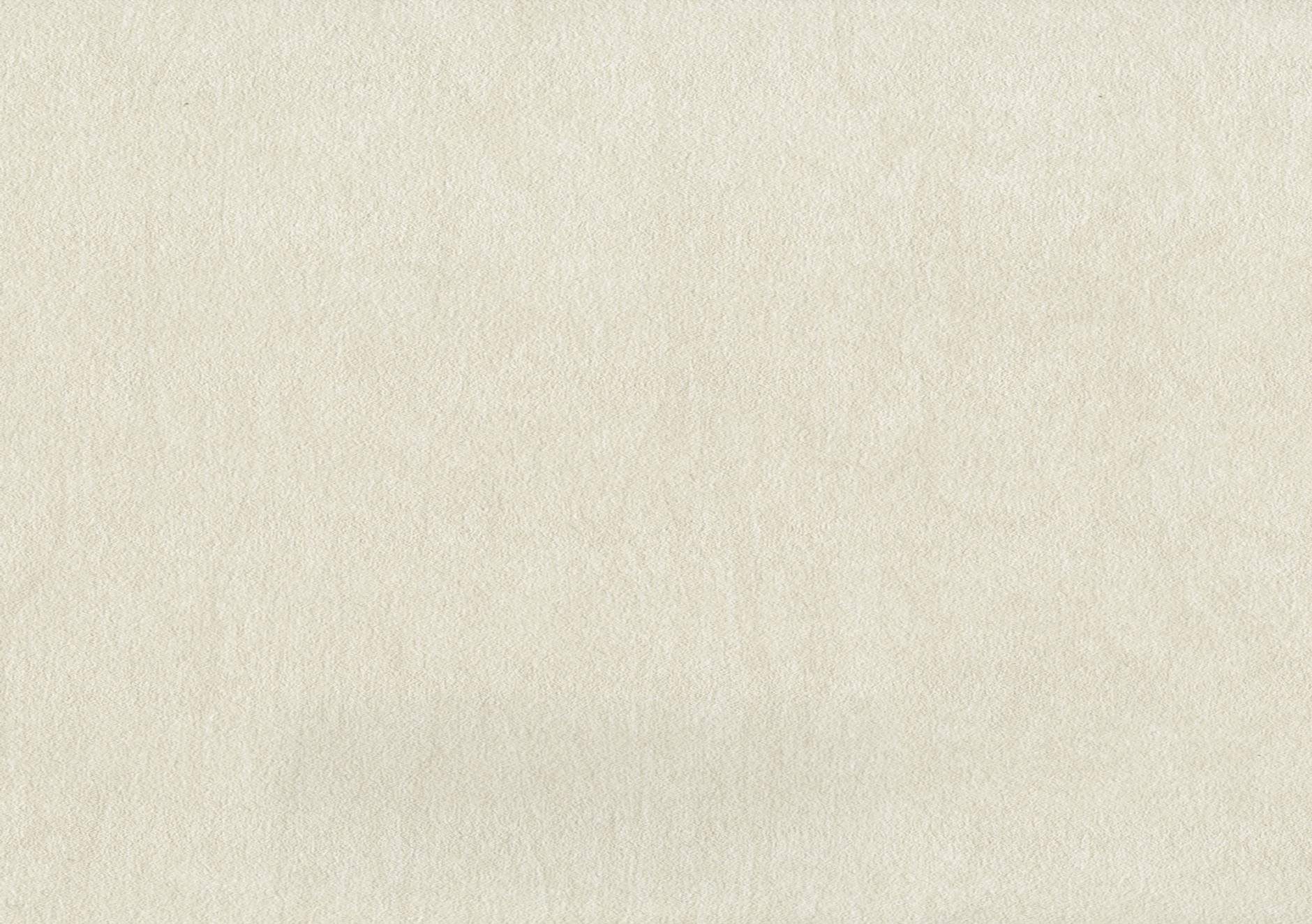 Brayer P8613
