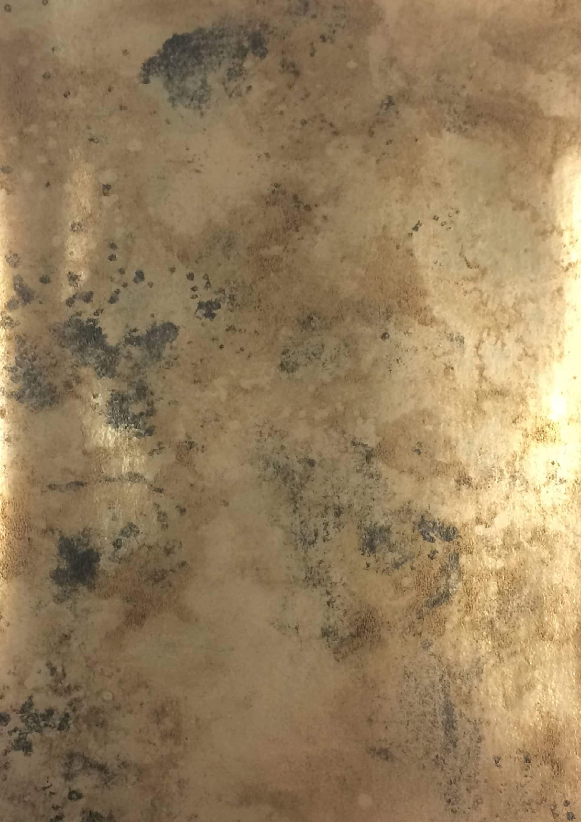 Burnish 10760