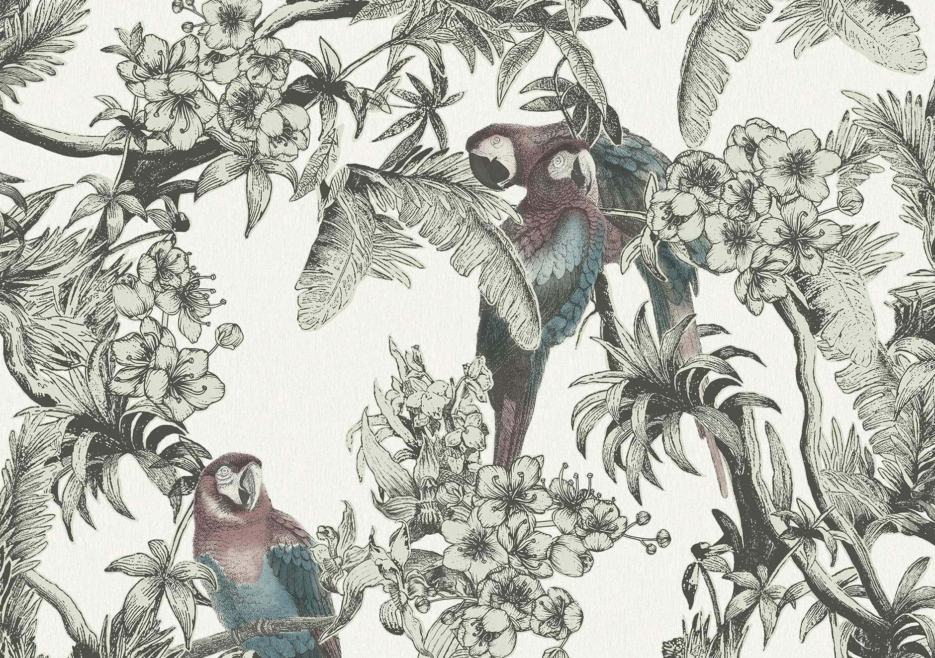 Macaw 13085