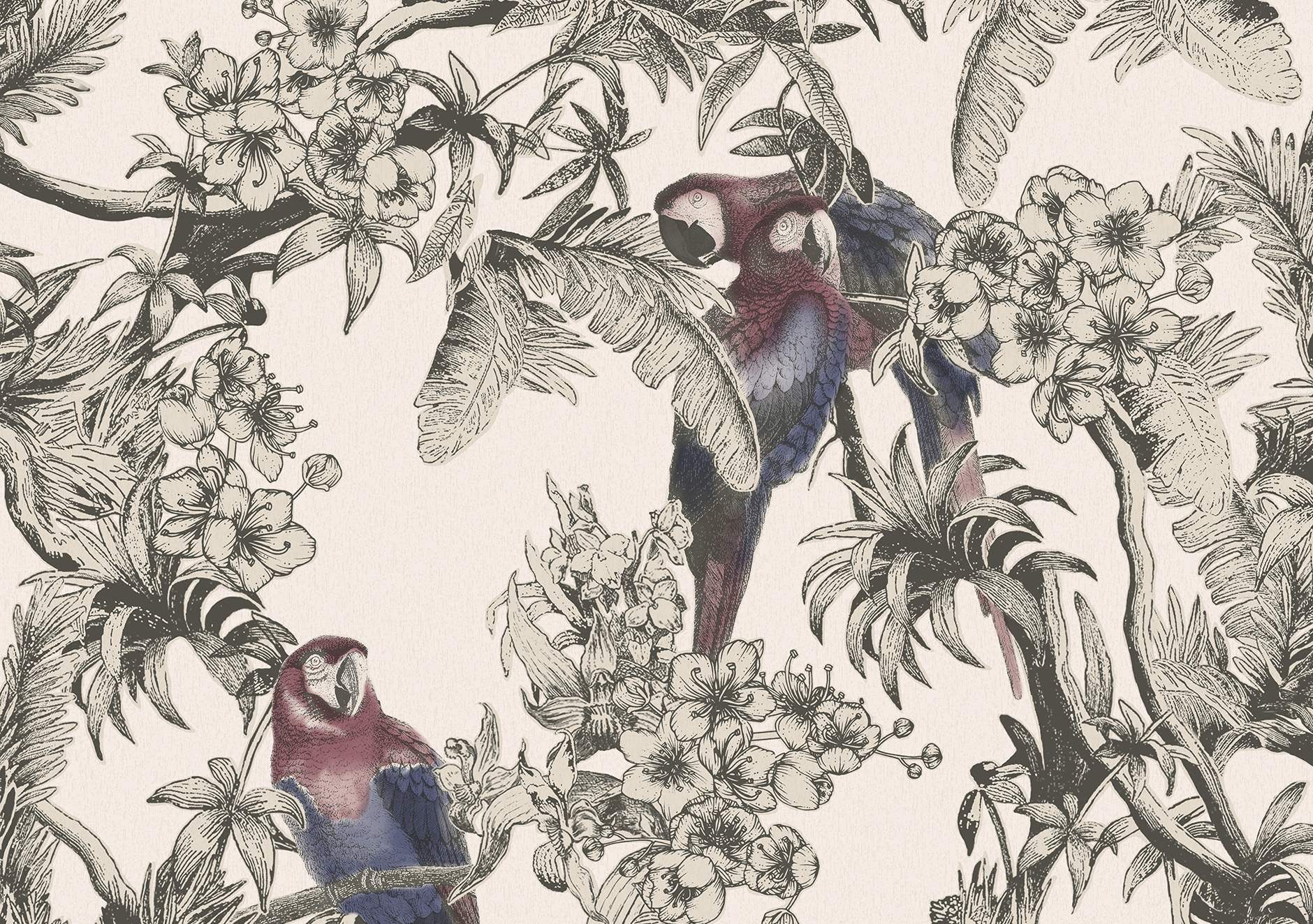 Macaw 13087