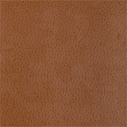 Natural Ostrich 839-T-6826