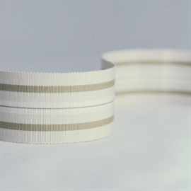 Narrow Woven Border NCT504-03