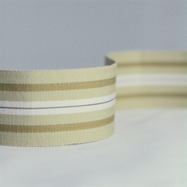 Narrow Woven Border NCT504-06