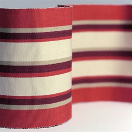 Wide Woven Border NCT505-08