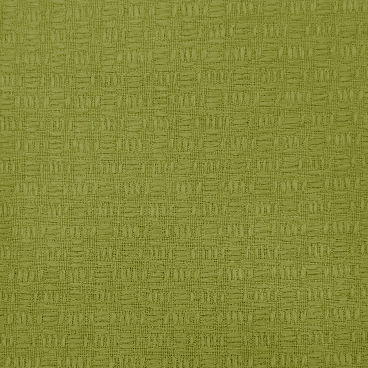 Nessa Citrus