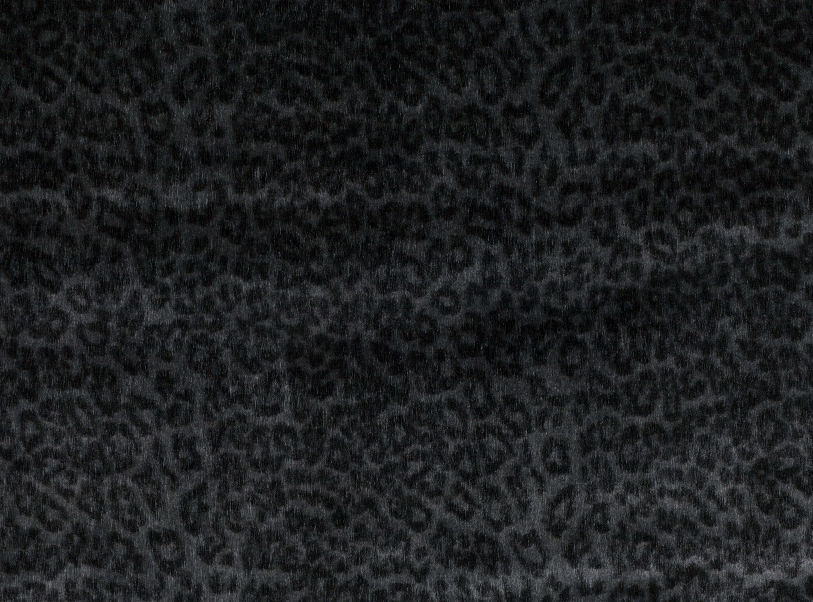 Night Leopard Z511-01