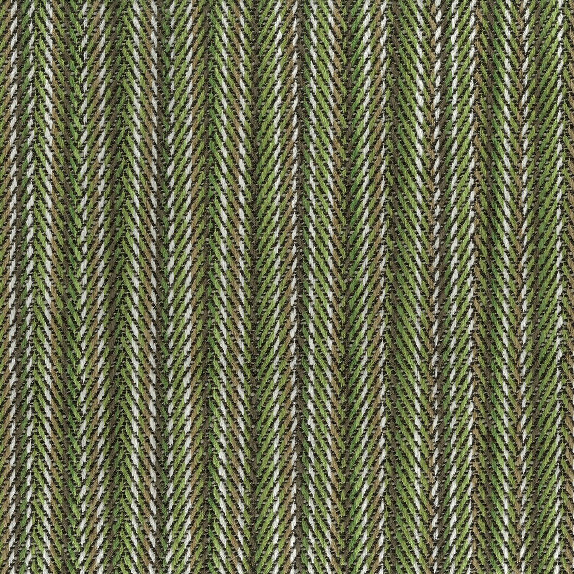 Balaine NCF4452-03