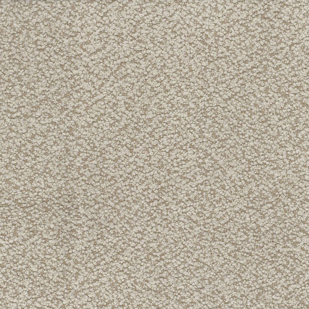 Cardot NCF4451-03