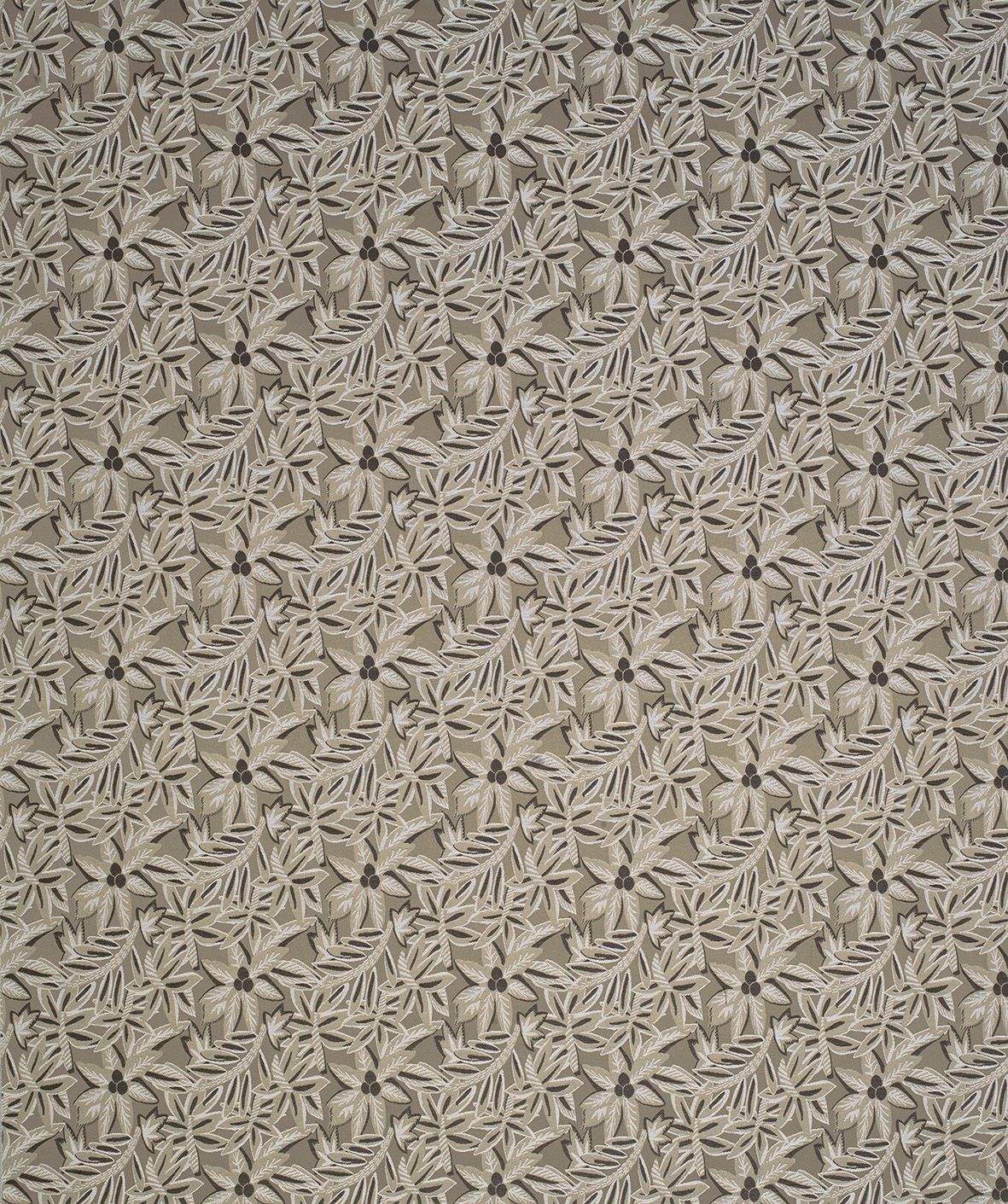 Loulou NCF4283-02