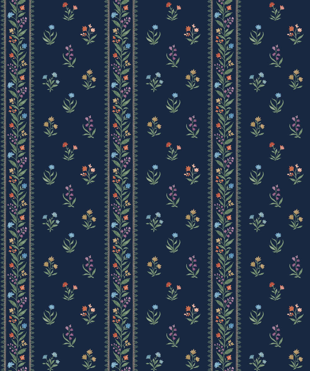 Petit Dapuri NCF4465-01