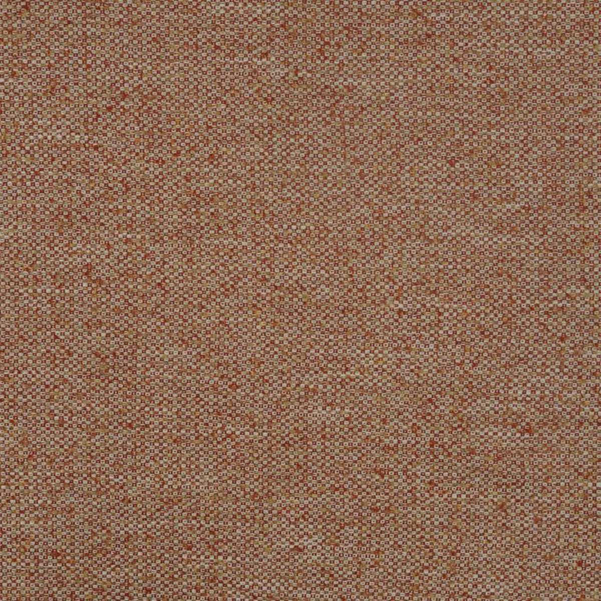 Atlas Tweed N9012424-006