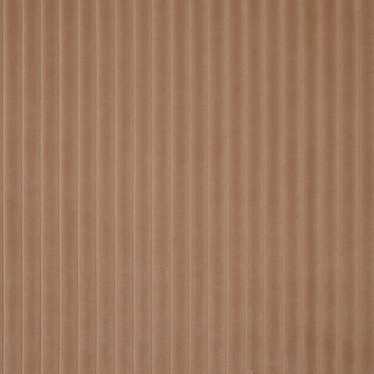 Corde Du Roi N9012438-012